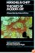 Theories of Modern Art A Source Book by Artists and Critics (California Studies in the History of Art)