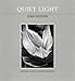 Quiet Light by John Sexton ISBN 0821217755