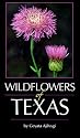 Wildflowers of Texas