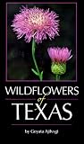 Wildflowers of Texas