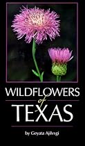 Wildflowers of Texas
