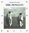 The Penguin, a Funny Bird (Animal Close-Ups)