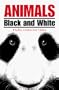 Animals: Black and White