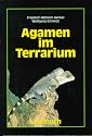 Agamen im Terrarium