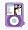 Purple 2T 3rd