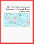 The Fiber Optic Industry in Indonesia: A Strategic Entry Report, 1997 (Strategic Planning Series)