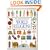The Usborne Book of World Religions (World Religions Series)
