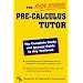High School Pre-Calculus Tutor (High School Tutors)