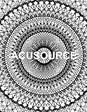 ACUSOURCE: Meridian Theory