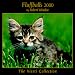 Book Fluffballs 2000