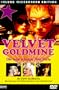 Velvet Goldmine