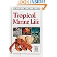Tropical Marine Life of Indonesia (Periplus Nature Guides) by  Gerald Allen