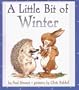 A Little Bit of Winter