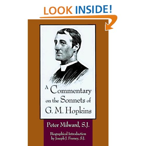 A Commentary on the Sonnets of G.M. Hopkins