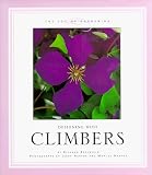 Designing With Climbers
