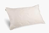 Natura World GP97338 - Aloe Dream Mate Pillow - King Size