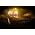 Thumbnail image of Lady Antebellum