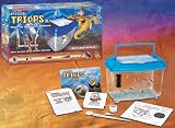 Astronomy Toys