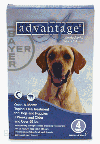 Advantage 4-Month Flea Medication for Dogs over 55lbs.(Blue)