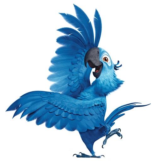Parrots Best Funny Videos