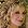 Stella Parton