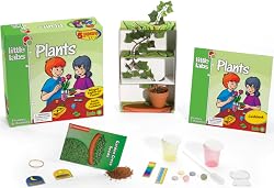 Little Labs - Plants