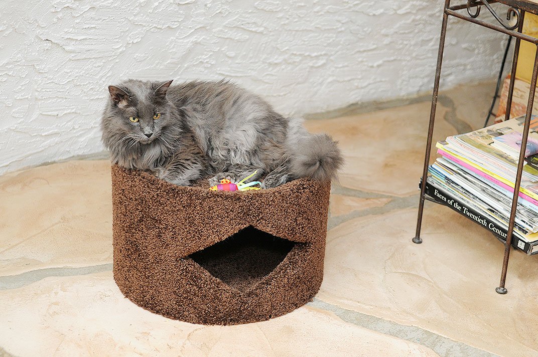 Amazon.com : New Cat Condos Premier Cat Cave, Brown : Cat Condo ...