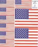 USA Flags - 9 SEPARATE STICKERS! - United States of America Flag - Sticker / Decal Set