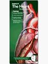 Anatomical Chart Company's Illustrated Pocket Anatomy: Anatomy Of The Heart Study Guide 11 Panels / 16 Full-color Illustrations / 9" X 4" Folded / 9" X 24" Unfolded