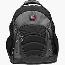 SYNERGY from SwissGear by Wenger Computer Backpack