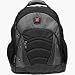 SYNERGY from SwissGear by Wenger Computer Backpack