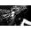 Thumbnail image of Bj�rk
