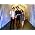 Thumbnail image of The Lumineers