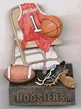 Indiana Hoosiers NCAA 3D Mascot Magnet