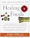 Encyclopedia of Healing Foods by Murray and Pizzarno Image