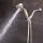 Speakman VS-3011-BN Anystream Alexandria Hand-held Shower in Brushed Nickel