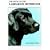 Book of the Labrador Retriever