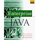 Click here to buy Enterprise Java: Where, How, When (And When Not) to Apply Java... by  Jeffrey Savit, Sean Wilcox, and Bhuvana Jayaraman.