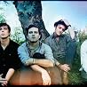 Image of Paper Route
