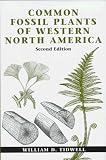 Common Fossil Plants of Western North America