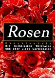 Rosen- Enzyklop�die. Die wichtigsten Wildrosen u. �ber 4000 Gartenrosen