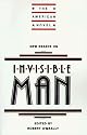 New Essays on Invisible Man (The American Novel)