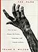 The Hand: How it Shapes the Brain, Language and Human Culture