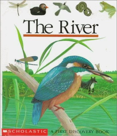 Discovery