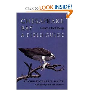 Chesapeake Bay: Nature of the Estuary : A Field Guide by Christopher P. White