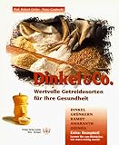cover of Dinkel & Co.