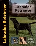 Labrador Retriever (Pet Love)