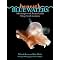 All About Aqua: Great Ocean Reading