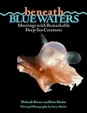 Beneath Blue Waters : Meetings With Remarkable Deep-sea  Creatures