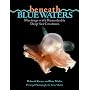 Beneath Blue Waters: Meetings With Remarkable Deep-Sea Creatures
